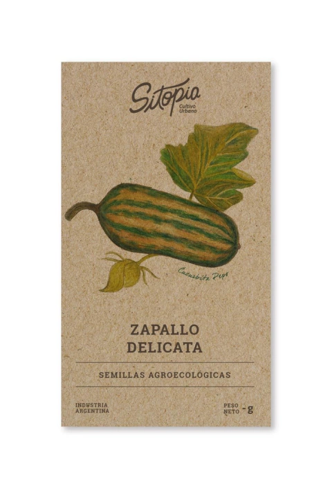 Semillas Zapallo Delicata
