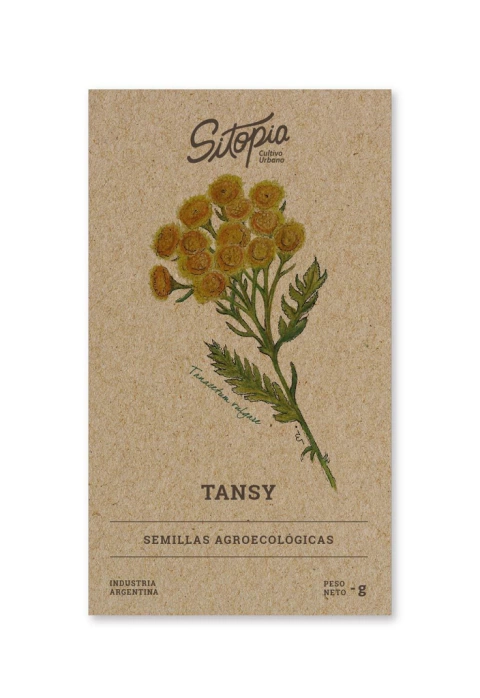 Semillas Tansy