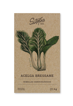 Semillas Acelga Bressane