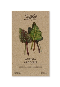 Semillas Acelga Arcoiris
