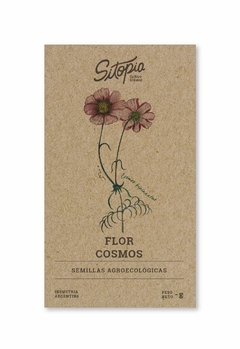 Semillas Flor Cosmos