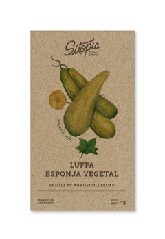Semillas Luffa (esponja vegetal)