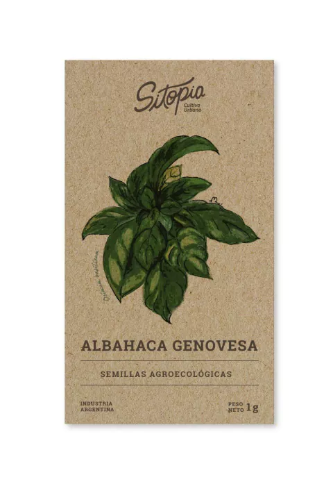 Semillas Albahaca Genovesa