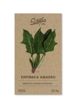 Semillas Espinaca Amadeo