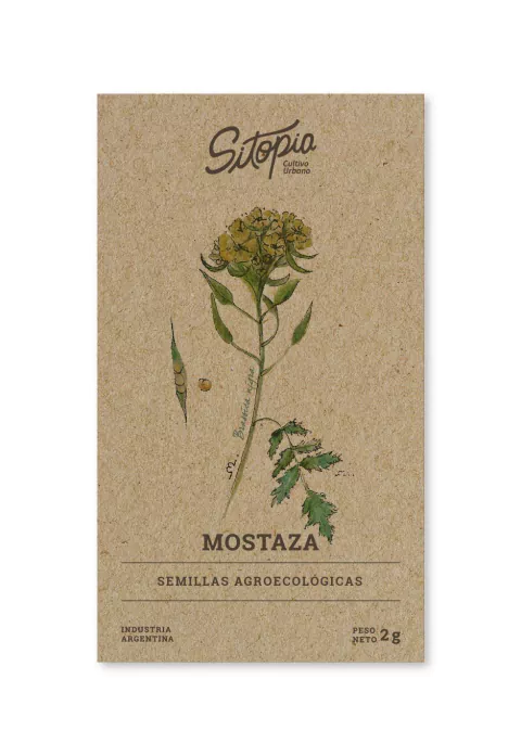 Semillas Mostaza
