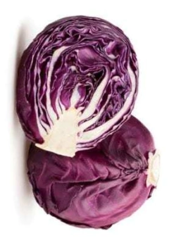 Semillas Repollo Morado en internet
