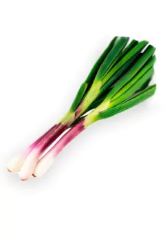 Semillas Cebolla de Verdeo - comprar online