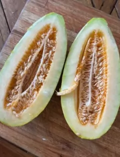 Semillas Melón Banana en internet