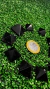 MINI PIRÂMIDE OBSIDIANA - KIT COM 10 pç na internet