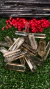 MINI BITERMINADO QUARTZO FUMÊ - (3 a 6)cm - comprar online