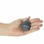YONI EGG - OVO TROLLEITE (50 a 99)g - comprar online