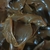 Dulce De Leche Repostero Leite x100gr - A granel - comprar online