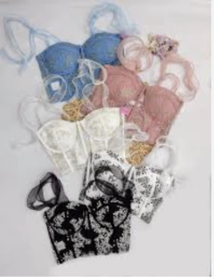 CORSET IMPORTADO BORDADO HEAVEN - SIEMPRECOMPULSIVAS1