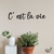 Woodecora - Palavra Lettering Aplique de Parede em Mdf 3D Cest la vie. Frase, Escultura, Quadro Decorativo
