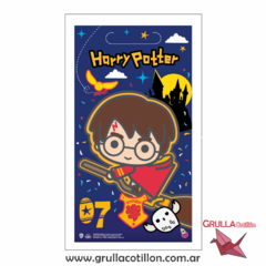 BOLSITAS HARRY POTTER x10