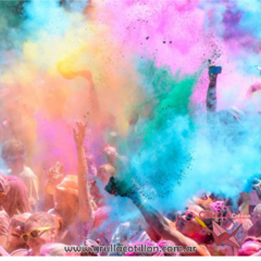 POLVITOS HOLI - COLOR SURTIDO - GRULLA COTILLÓN