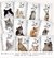 Imagem do Caderneta de saúde do Pet Cat Planner - A5 (15x21cm) - Ref.: YP