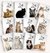 Caderneta de saúde do Pet Cat Planner - A5 (15x21cm) - Ref.: YP