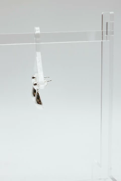 AROS TIPO GOTA - comprar online