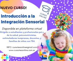 CURSO INTRODUCCION A LA INTEGRACION SENSORIAL - modalidad Online - comprar online