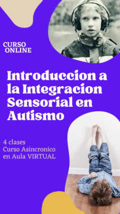 CURSO INTRODUCCION A LA INTEGRACION SENSORIAL - modalidad Online