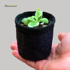 Fieltro Geotextil Macetas Pequeñas - comprar online