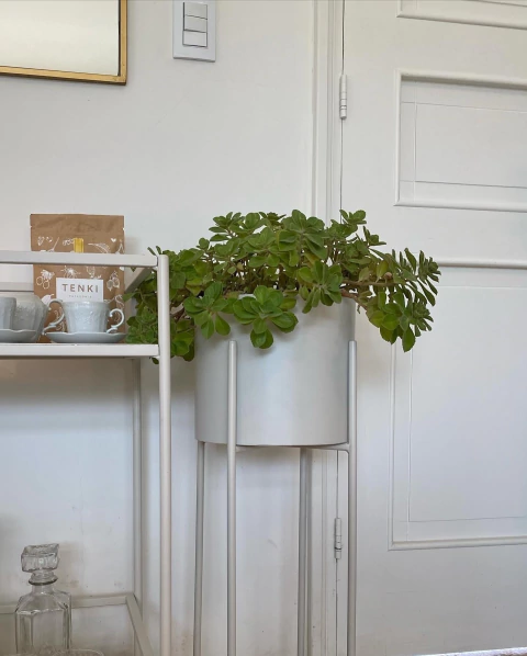 Portamaceta de hierro