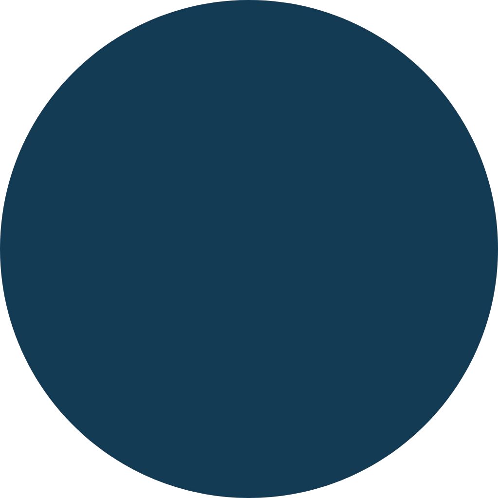 115800 Remera basica lisa unisex