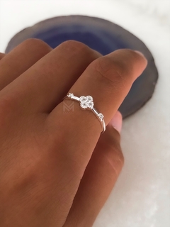Anillo Zully en internet