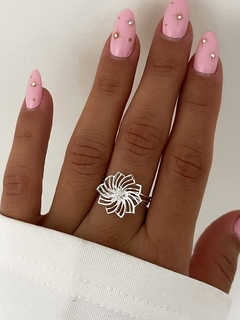 Anillo aine