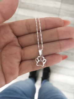 Collar dog