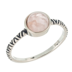 Anillo Emilia en internet