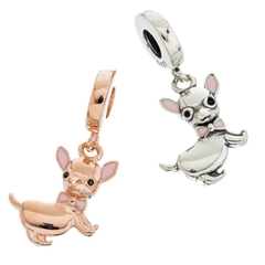 charm perro