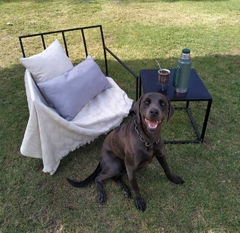 SILLON DE HIERRO (DEMORA 45 DIAS) (copia) - tienda online