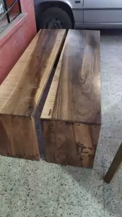 Dúo ratonas guayu