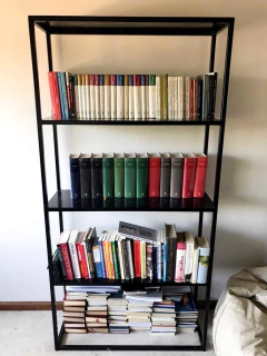 ESTANTERIA/BIBLIOTECA DE CHAPA (DEMORA 30 DIAS) - VIAZ HOME
