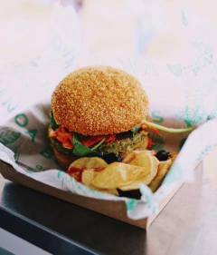 Hamburguesas de quinoa veganas Nutree