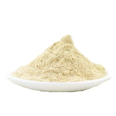 Cebolla en polvo