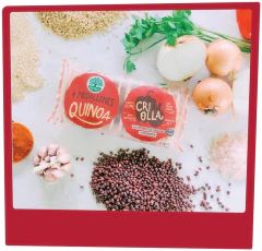 Hamburguesas de quinoa veganas Nutree en internet