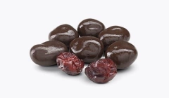Pasas de arándanos con chocolate ArgenFrut