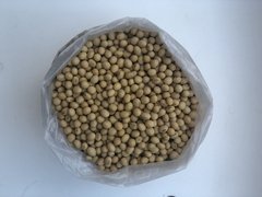 Poroto de soja