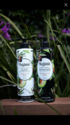 ACONDICIONADOR NUTRI BOOST SUBLIME VEGANIS