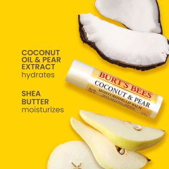 Protetor Labial Burt’s Bees 4 sabores - Joy Importados