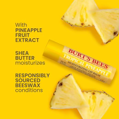 Protetor Labial Burt’s Bees 4 sabores