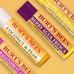 Protetor Labial Burt’s Bees 4 sabores - comprar online