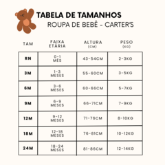 Conjunto 3 Peças Coala - Carter´s - Joy Importados