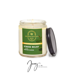 Vela Stress Relief Eucaliptus + Spearmint - Bath & Body Works 198g