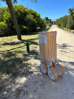 CARRITO DE PLAYA PLEGABLE - tienda online