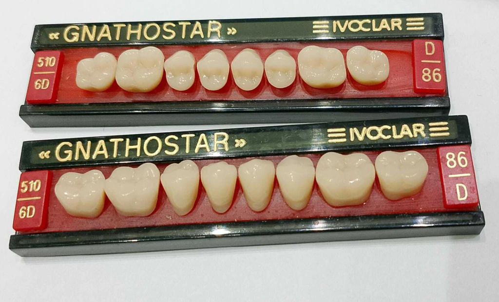 Dientes Gnathostar Juego de posteriores Superior e Inferior 6D/510