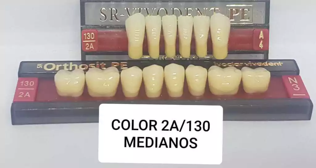 DIENTES IVOCLAR COMPLETA INFERIOR 2A/130 (FORMAS A4 - N3